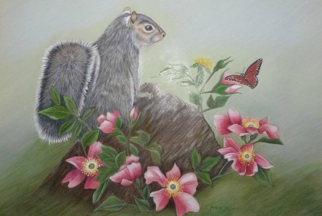 Stiffler-squirrel-colored-pencil